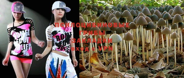 PSILOCYBIN Волоколамск