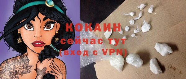 амф Горняк