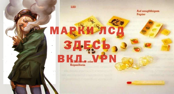 амф Горняк