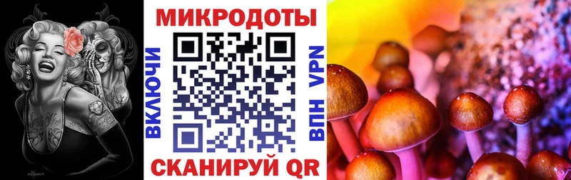 ссылка на мегу ССЫЛКА Ельня Псилоцибиновые грибы мицелий